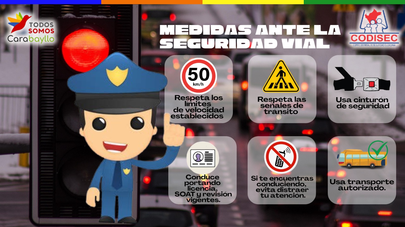 seguridad